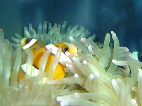 新札幌サンピアザ水族館 【公式】La'gent Stay Shin Sapporo / ラ・ジェント・ステイ新さっぽろ